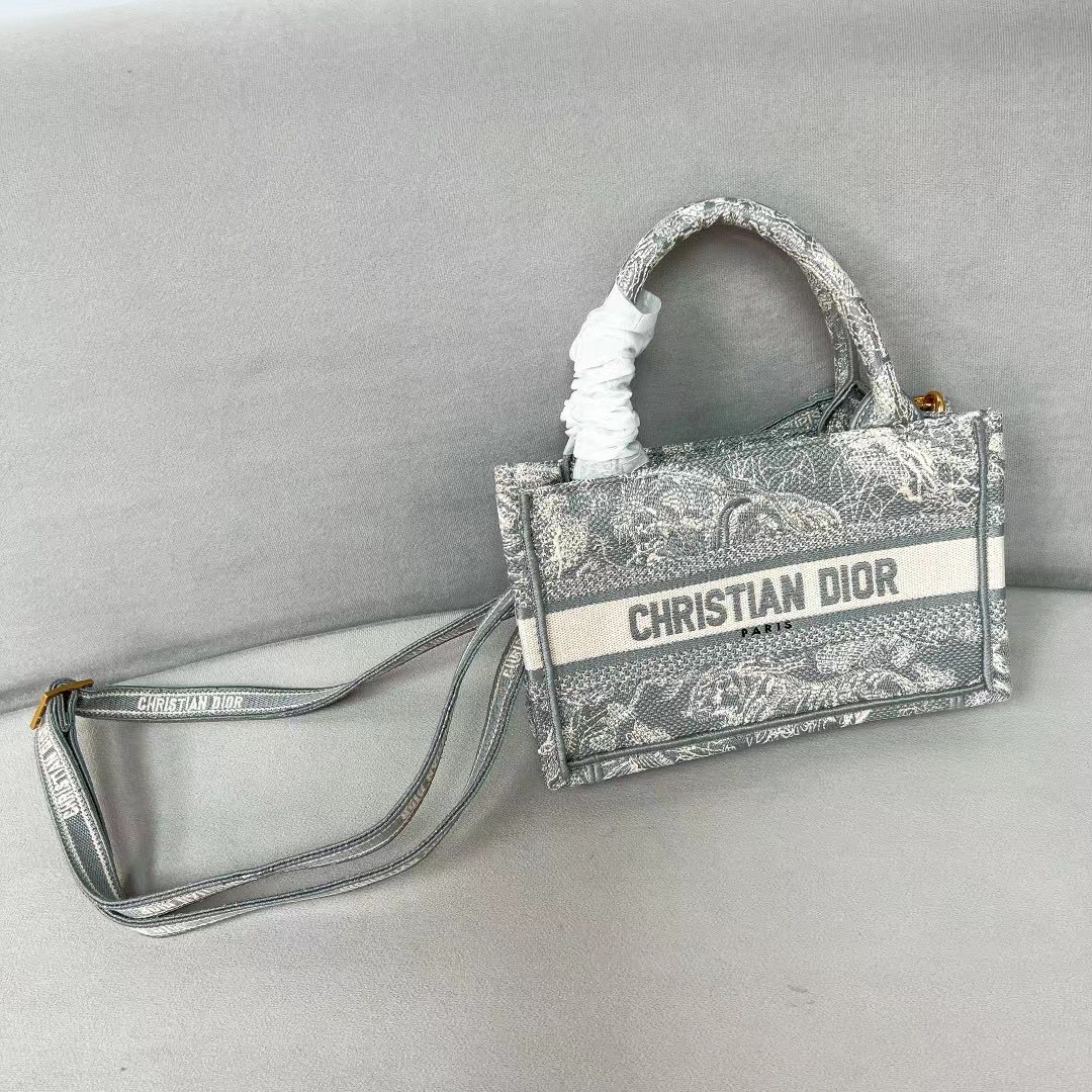 Small Dior Book Tote